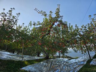 또바기사과(이훈희)님의 작성글 사진