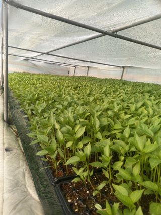 김용철님의 작성글 사진