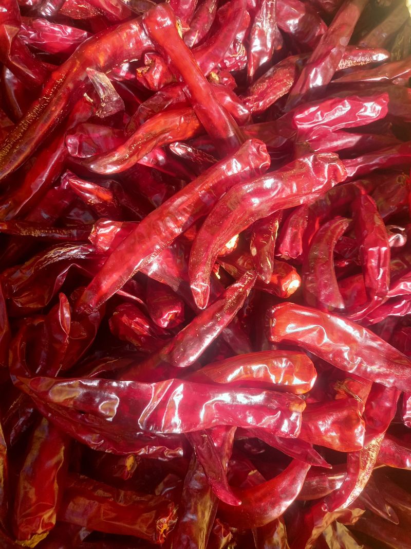 김용철님의 장터 판매 상품 [햇고추 가루 600g18000원] 첨부 사진