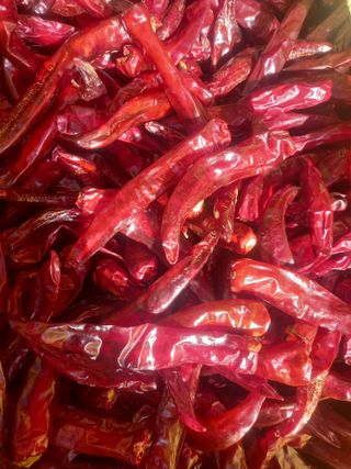 김용철님의 작성글 사진