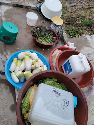 성민님의 자유주제 · 자유게시판 작성글 사진