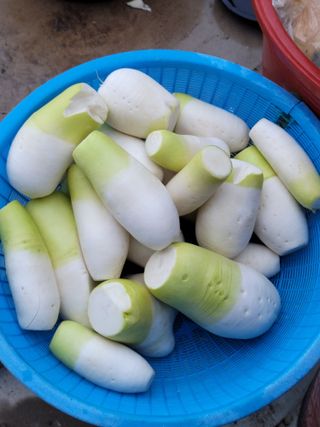 성민님의 자유주제 · 자유게시판 작성글 사진