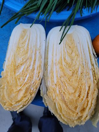 성민님의 자유주제 · 자유게시판 작성글 사진