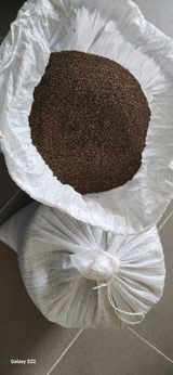 팜모닝 최근 산 물건을 알려주세요!·참여글 게시글 이미지