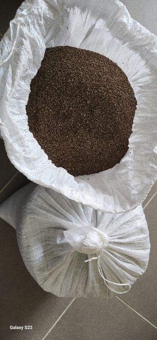 접시꽃님의 최근 산 물건을 알려주세요! · 참여글 작성글 사진