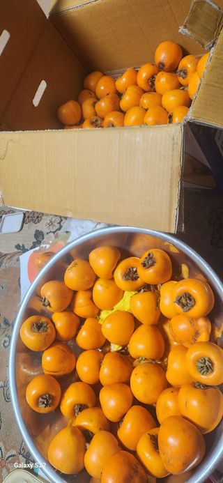 접시꽃님의 최근 산 물건을 알려주세요! · 참여글 작성글 사진