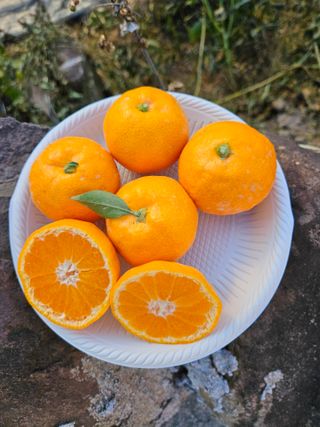 선물차롱님의 최근 산 물건을 알려주세요! · 참여글 작성글 사진