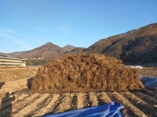 콩나라최여순님의 콩 · 자유게시판 작성글 사진