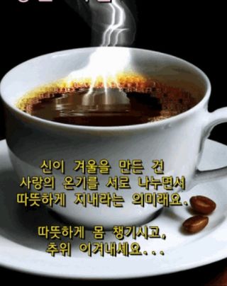 심수연님의 자유주제 · 자유게시판 작성글 사진