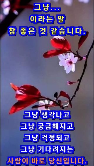 심수연님의 자유주제 · 자유게시판 작성글 사진