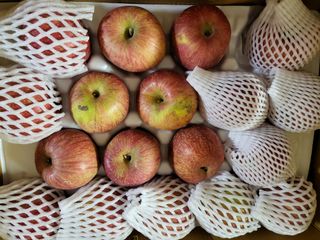 박순례님의 최근 산 물건을 알려주세요! · 참여글 작성글 사진