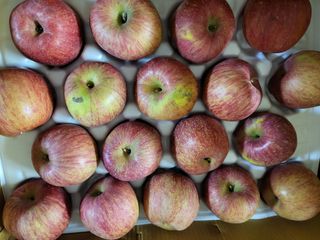 박순례님의 최근 산 물건을 알려주세요! · 참여글 작성글 사진