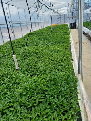 김용철님의 작성글 사진