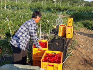 김용철님의 작성글 사진