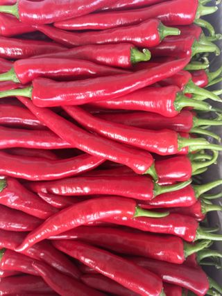 김용철님의 작성글 사진