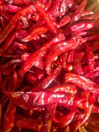 김용철님의 작성글 사진