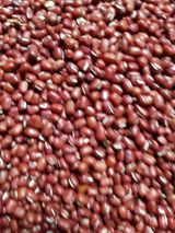 팜모닝 기타작물·자유게시판 게시글 이미지