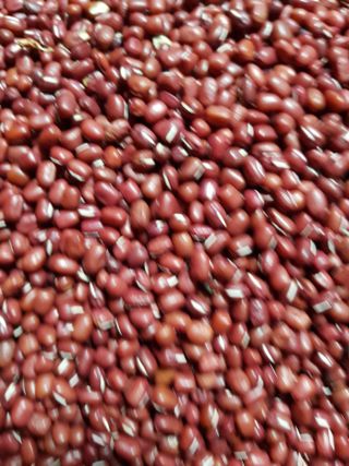 백봉2리밭농사곡식님의 기타작물 · 자유게시판 작성글 사진