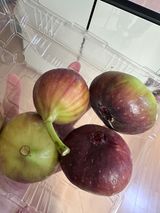 팜모닝 최근 산 물건을 알려주세요!·참여글 게시글 이미지