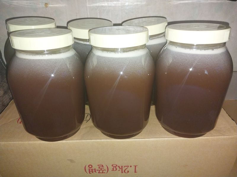 오석한님의 장터 판매 상품 [솔빛한봉농원 토종꿀2.4kg(한되)] 첨부 사진