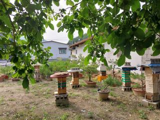 오석한님의 작성글 사진