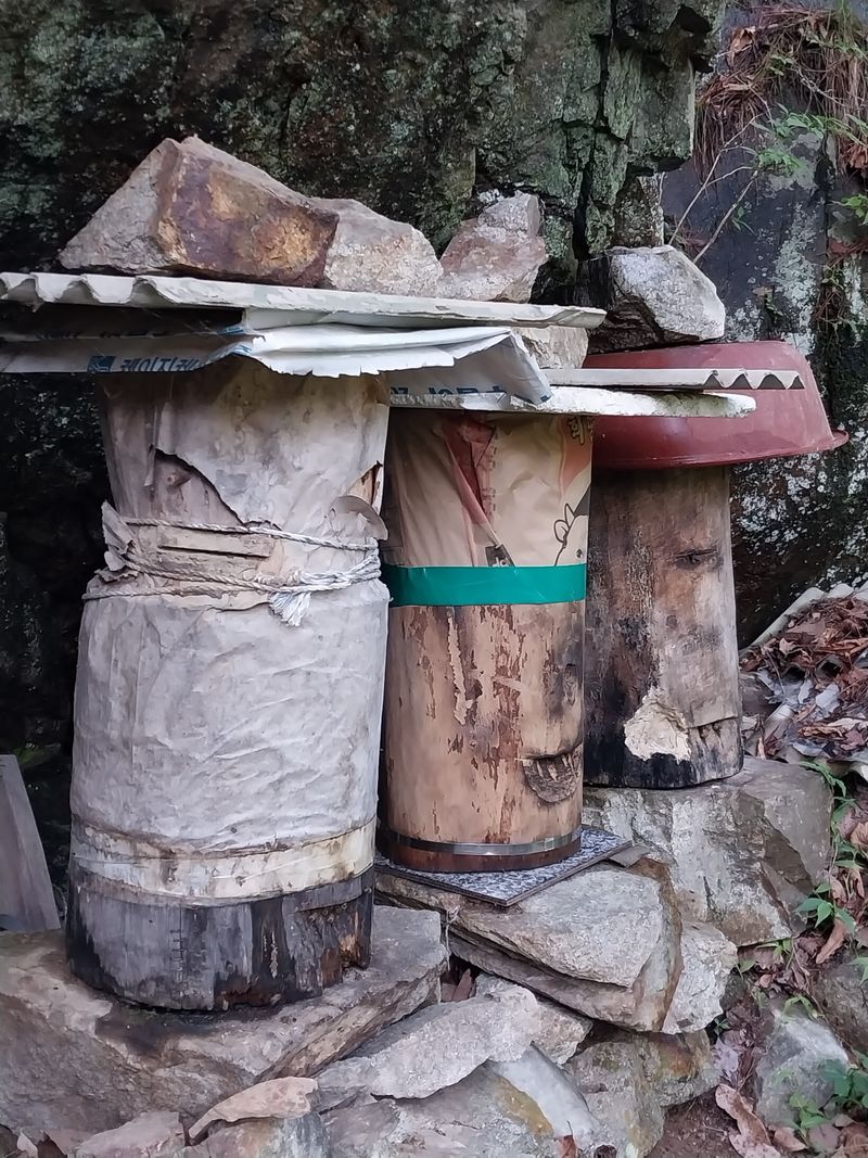 오석한님의 장터 판매 상품 [솔빛한봉농원 토종꿀2.4kg(한되)] 첨부 사진