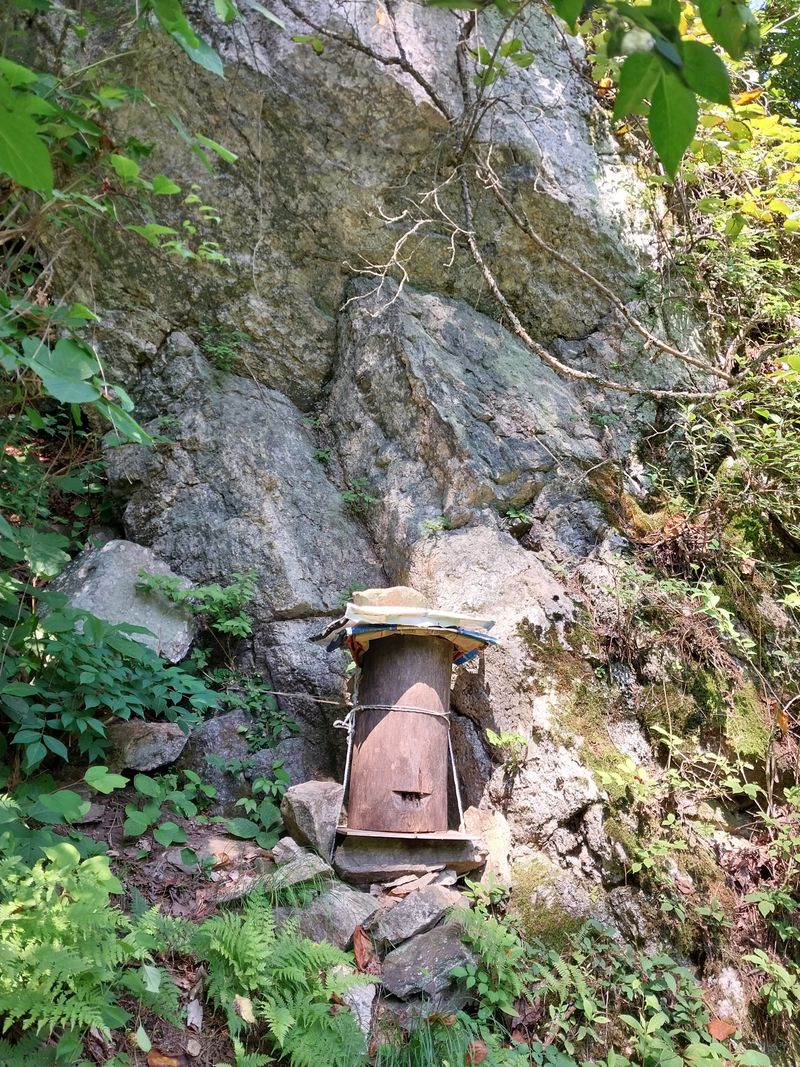 오석한님의 장터 판매 상품 [솔빛한봉농원 토종꿀2.4kg(한되)] 첨부 사진