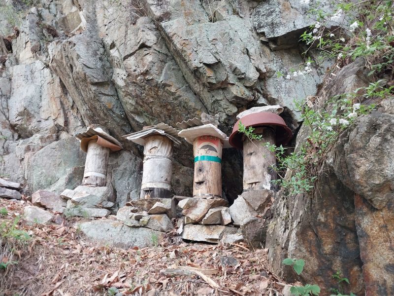 오석한님의 장터 판매 상품 [솔빛한봉농원 토종꿀2.4kg(한되)] 첨부 사진