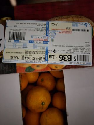 송골농원님의 최근 산 물건을 알려주세요! · 참여글 작성글 사진