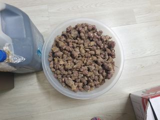 최순님의 자유주제 · 자유게시판 작성글 사진