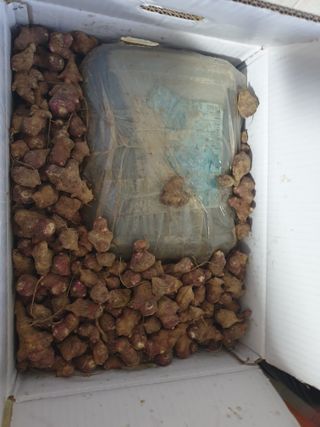 최순님의 자유주제 · 자유게시판 작성글 사진