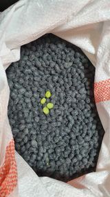 팜모닝 · 게시글 이미지