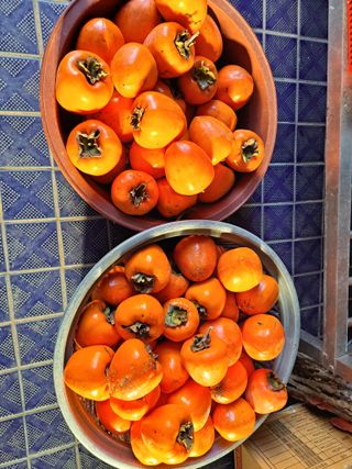 귀향인님의 감 · 자유게시판 작성글 사진