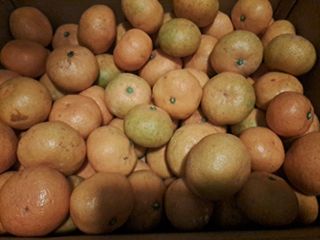 곽해영님의 최근 산 물건을 알려주세요! · 참여글 작성글 사진