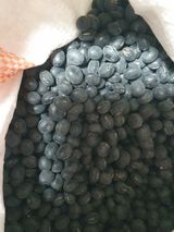 팜모닝 최근 산 물건을 알려주세요!·참여글 게시글 이미지