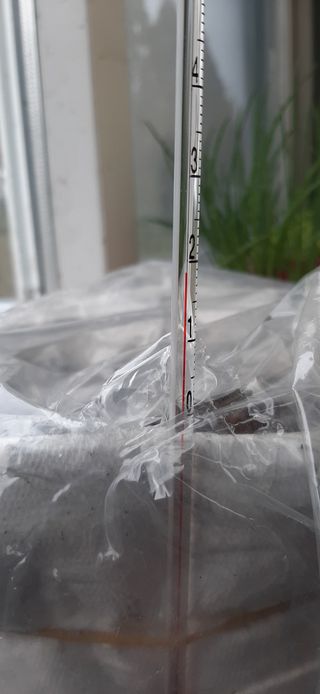 이강재님의 오이 · 자유게시판 작성글 사진