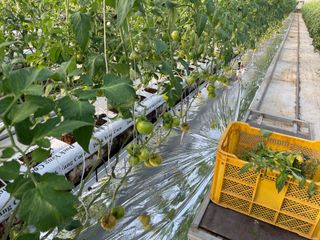 그린애농장님의 최근 산 물건을 알려주세요! · 참여글 작성글 사진