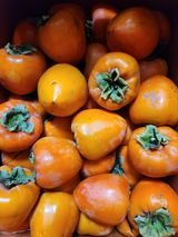 팜모닝 최근 산 물건을 알려주세요!·참여글 게시글 이미지