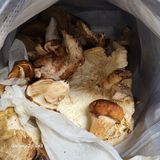 팜모닝 최근 산 물건을 알려주세요!·참여글 게시글 이미지