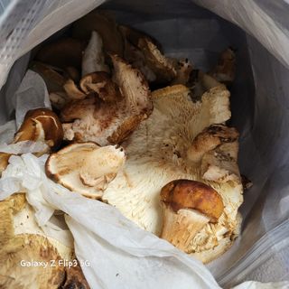 장유경만점자님의 최근 산 물건을 알려주세요! · 참여글 작성글 사진