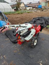 팜모닝 최근 산 물건을 알려주세요!·참여글 게시글 이미지