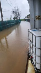 팜모닝 팜모닝·출석 게시글 이미지