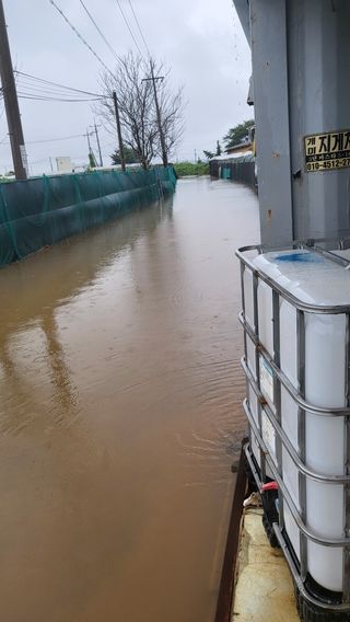 김지춘님의 팜모닝 · 출석 작성글 사진