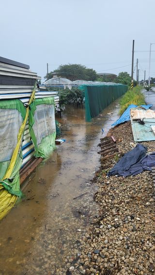 김지춘님의 팜모닝 · 출석 작성글 사진