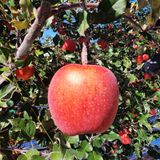 팜모닝 · 게시글 이미지