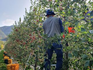 직송포유님의 작성글 사진
