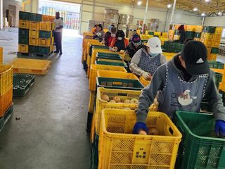 직송포유님의 작성글 사진