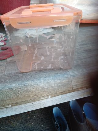 알 수 없음님의 우리동네 · 동네수다 작성글 사진