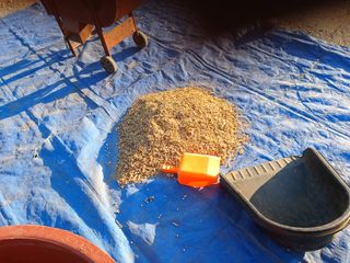 알 수 없음님의 우리동네 · 동네수다 작성글 사진