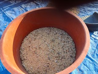 알 수 없음님의 우리동네 · 동네수다 작성글 사진